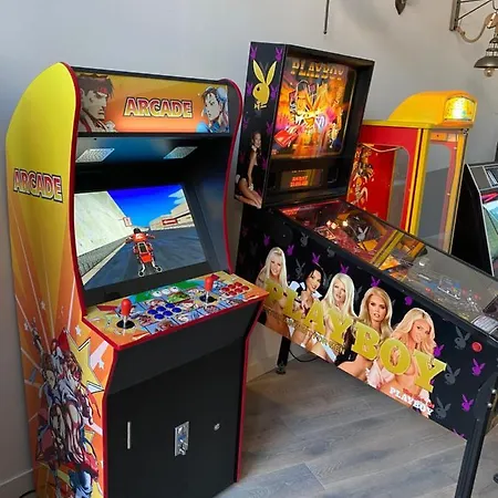 Loft Reims-fr 250m2 Privatifs, Piscine Interieure Chauffee, Et Parking ランス