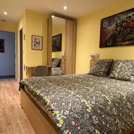 アパート Loft Reims-fr 250m2 Privatifs, Piscine Interieure Chauffee, Et Parking